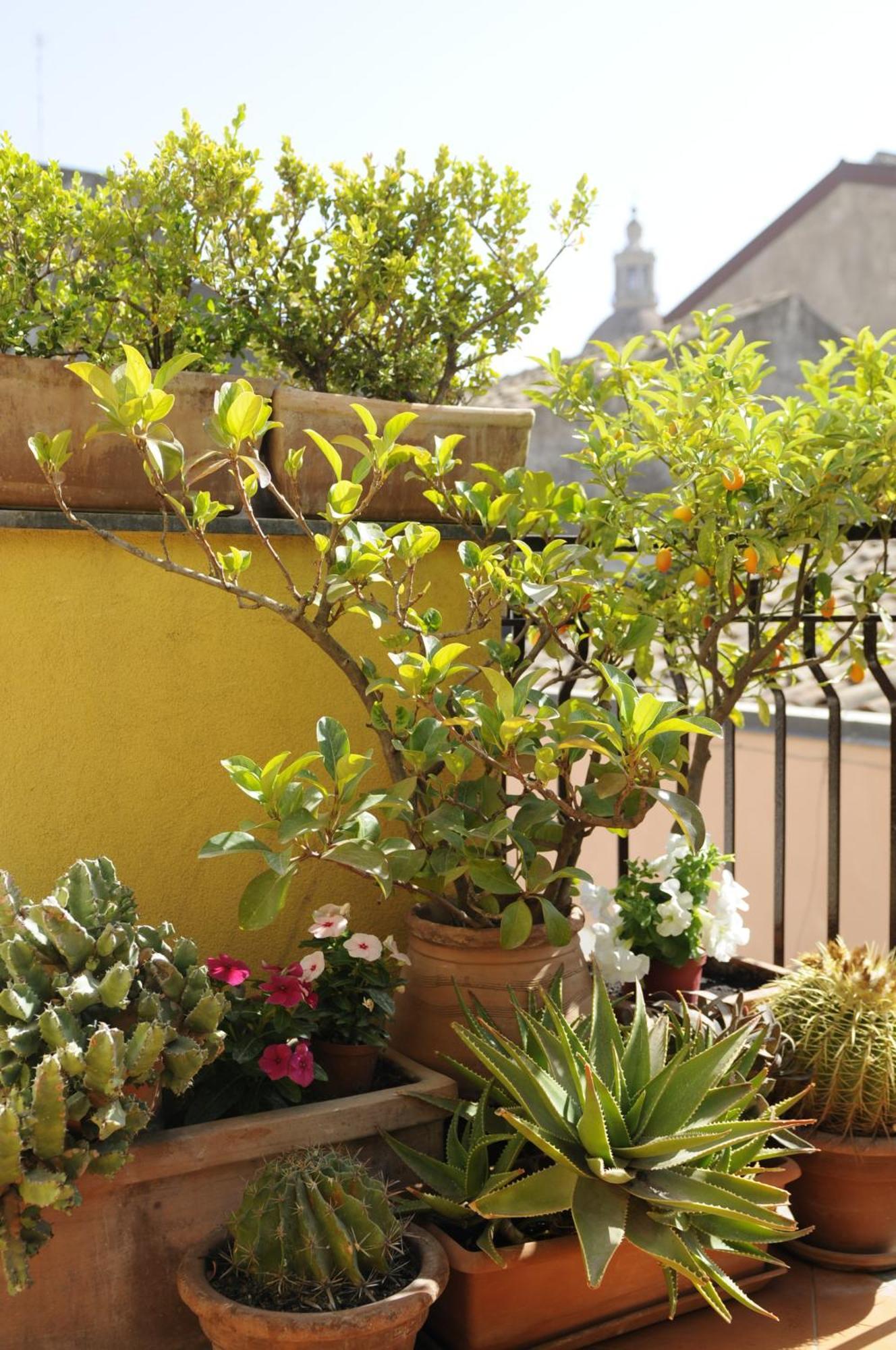 La Scala Bianca Appartement *
