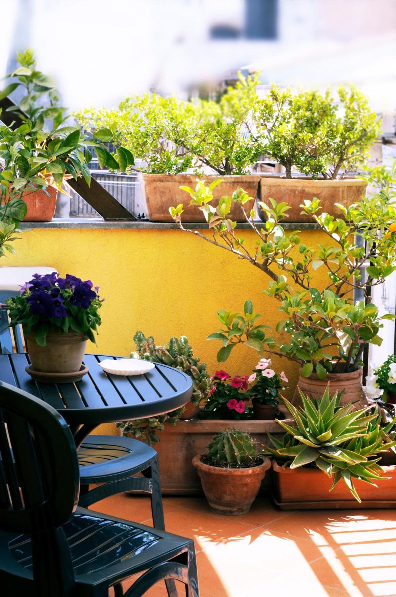 Appartement La Scala Bianca
